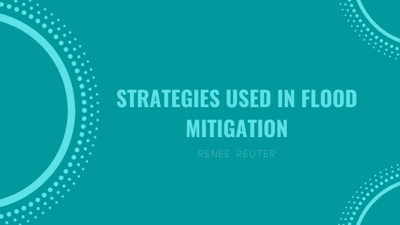 Strategies Used in Flood Mitigation